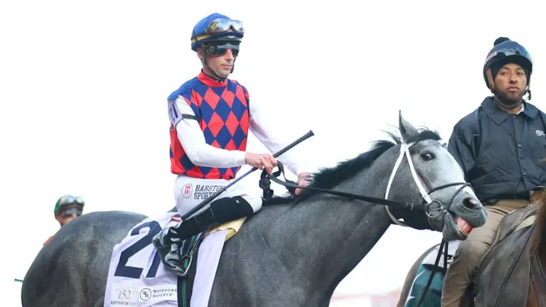 great white horse — US news